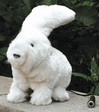 CE045a Floppy Bunny