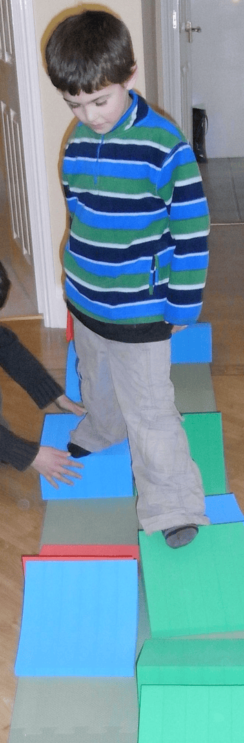P028 Step Challenge