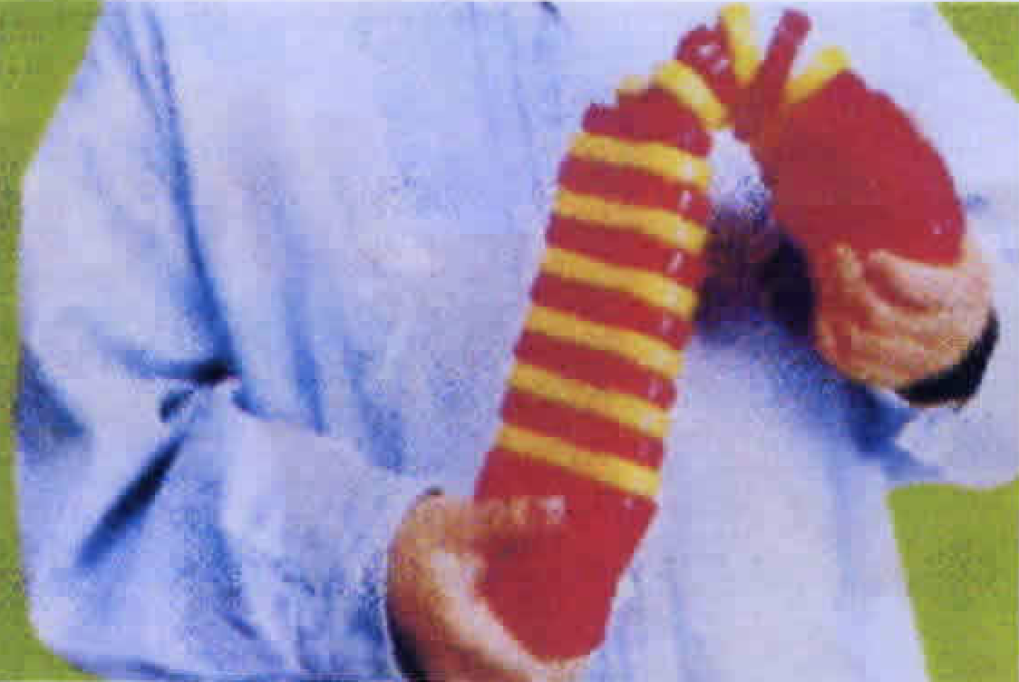 MU022 Clatterpillar