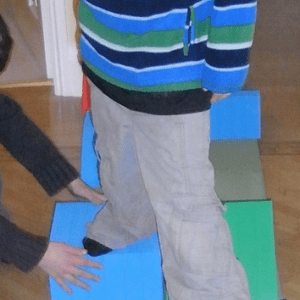 P028 Step Challenge